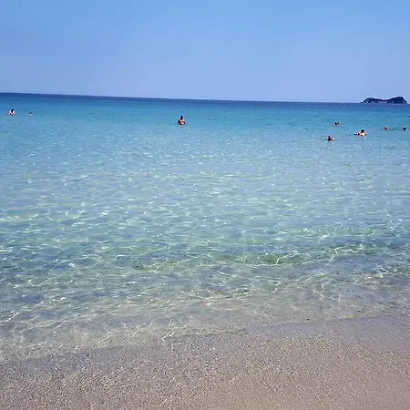 Liberty Хриси-Амудия