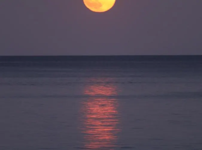 Apartahotel Liberty Chrysi Ammoudia